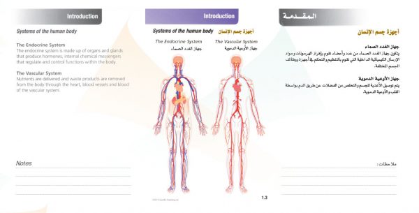 الكتاب الأول من الأكاديمية الدولية: التشريح ووظائف الأعضاء - باللغتين العربية والإنجليزية.