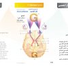 الكتاب الأول من الأكاديمية الدولية: التشريح ووظائف الأعضاء - باللغتين العربية والإنجليزية.