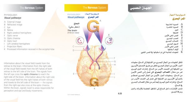 الكتاب الأول من الأكاديمية الدولية: التشريح ووظائف الأعضاء - باللغتين العربية والإنجليزية.
