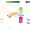 الكتاب الأول من الأكاديمية الدولية: التشريح ووظائف الأعضاء - باللغتين العربية والإنجليزية.