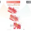 الكتاب الأول من الأكاديمية الدولية: التشريح ووظائف الأعضاء - باللغتين العربية والإنجليزية.