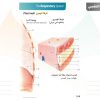 الكتاب الأول من الأكاديمية الدولية: التشريح ووظائف الأعضاء - باللغتين العربية والإنجليزية.