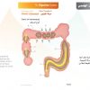 الكتاب الأول من الأكاديمية الدولية: التشريح ووظائف الأعضاء - باللغتين العربية والإنجليزية.