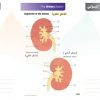الكتاب الأول من الأكاديمية الدولية: التشريح ووظائف الأعضاء - باللغتين العربية والإنجليزية.