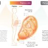 الكتاب الأول من الأكاديمية الدولية: التشريح ووظائف الأعضاء - باللغتين العربية والإنجليزية.