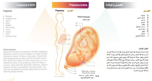 الكتاب الأول من الأكاديمية الدولية: التشريح ووظائف الأعضاء - باللغتين العربية والإنجليزية.