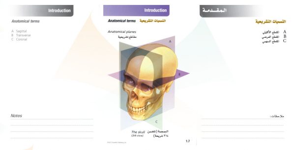 الكتاب الأول من الأكاديمية الدولية: التشريح ووظائف الأعضاء - باللغتين العربية والإنجليزية.
