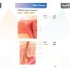 الكتاب الأول من الأكاديمية الدولية: التشريح ووظائف الأعضاء - باللغتين العربية والإنجليزية.