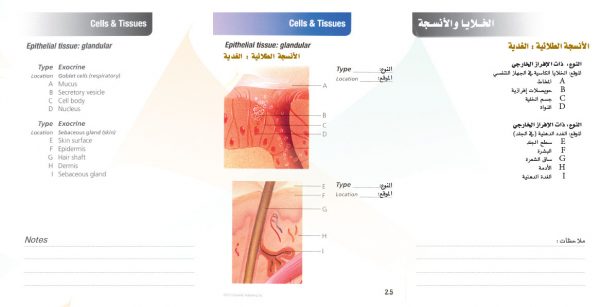 الكتاب الأول من الأكاديمية الدولية: التشريح ووظائف الأعضاء - باللغتين العربية والإنجليزية.