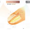 الكتاب الأول من الأكاديمية الدولية: التشريح ووظائف الأعضاء - باللغتين العربية والإنجليزية.