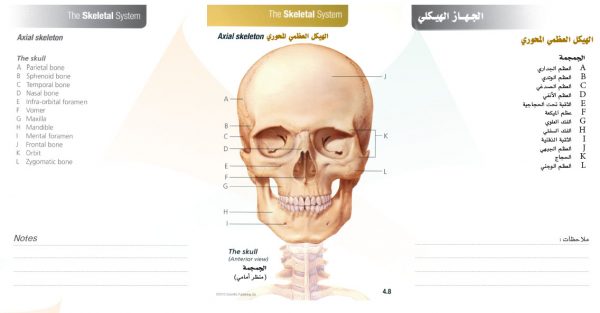 الكتاب الأول من الأكاديمية الدولية: التشريح ووظائف الأعضاء - باللغتين العربية والإنجليزية.
