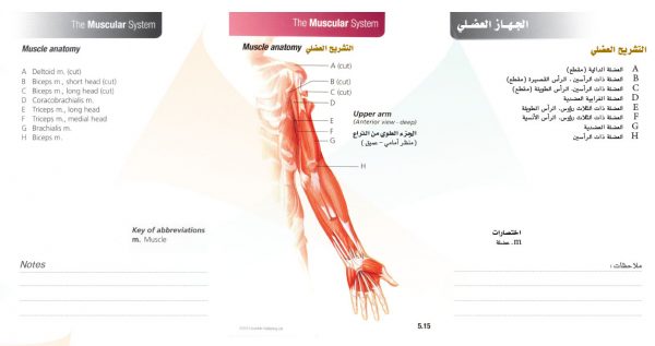الكتاب الأول من الأكاديمية الدولية: التشريح ووظائف الأعضاء - باللغتين العربية والإنجليزية.