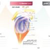 الكتاب الأول من الأكاديمية الدولية: التشريح ووظائف الأعضاء - باللغتين العربية والإنجليزية.