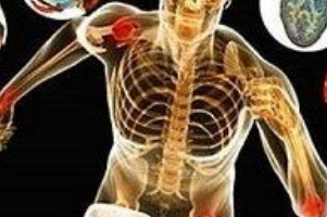 دبلوم دورة علم وظائف الأعضاء Physiology