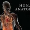 الكتاب الأول من الأكاديمية الدولية: التشريح ووظائف الأعضاء - باللغتين العربية والإنجليزية.