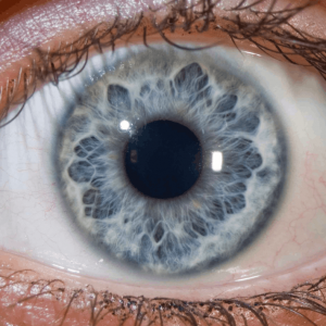 دبلوم علم القزحية النفسي والعاطفي