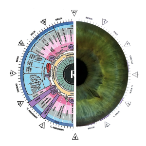 دبلوم متقدم علم التشخيص القزحي – المستوى الثاني