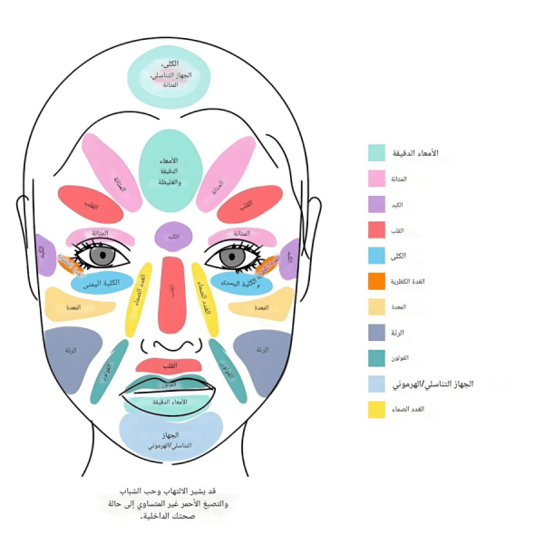 master-face-reading2 دبلوم احتراف تشخيص الأمراض عبر الوجه
