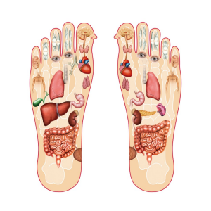 دورة دبلوم ممارس العلاج بالتدليك الانعكاسي (رفلكسولوجي)