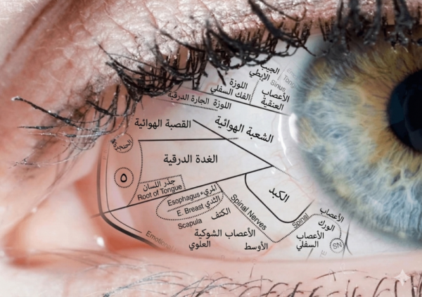 دبلوم متقدم التشخيص عن طريق بياض العين (الصلبة) - مستوى 2