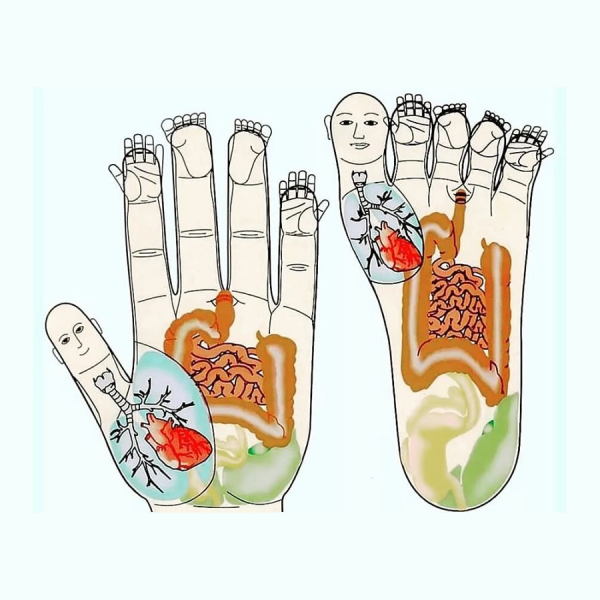 دورة دبلوم سو جوك – تدليك انعكاسي - مستوى 1 و2